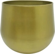 Pot Lara Gold