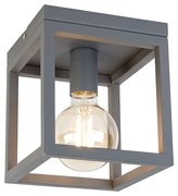Industriële smart plafondlamp antraciet incl. Wifi G95 - Cage Modern, Design, Industriele / Industrie / Industrial E27 vierkant Binnenverlichting Lamp