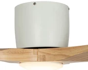 Luyaim Kleine RGB Plafondventilator Met Licht En Afstandsbediening Led Dimbaar Kinderen Kleur Starter Ventilator Licht 6 Snelheid Gelijkstroommotor Voor Slaapkamer Woonkamer Alexa