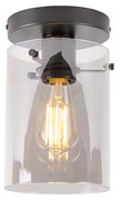 Smart plafondlamp zwart met smoke glas incl. Wifi ST64 - Dome Modern E27 Binnenverlichting Lamp