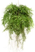 Varen met wortels Kunstplant - 55 cm