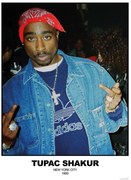 Poster Tupac Shakur - N.Y.C 1993