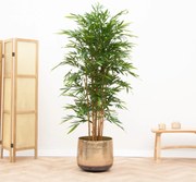 Kunstplant bamboe - 180cm