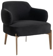 Fauteuil Met Gouden Poten