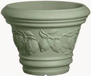 Planter Limoni