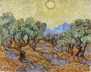 Kunstreproductie Olive Trees (1889), Vincent van Gogh