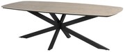 Taste by 4 Seasons Prado tuintafel antraciet met keramisch blad in barrelvorm 240 x 105 cm  Tuintafel    beige weerbestendig