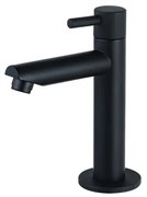 Fortifura Calvi Fonteinkraan - 15.4cm - opbouw - 1gats - mat zwart SW696235