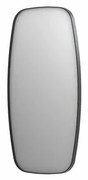 INK SP29 spiegel - 50x4x100cm contour in stalen kader - geborsteld metal black 8409655