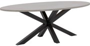 Goossens Eettafel Stone, Ovaal 210 x 120 cm