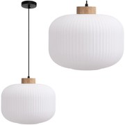 Hanglamp APP1069-CP
