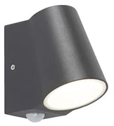 Buitenlamp met bewegingsmelder antraciet met bewegingssensor incl. LED - Uma Modern IP44 Buitenverlichting rond