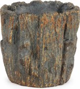 Pot Fossil Bark