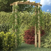 vidaXL Tuinboog 150x50x210 cm hout