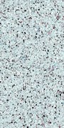 Jabo Medley Sugar terrazzo vloertegel 60x120cm gerectificeerd