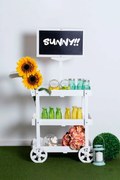 Watermeloen Candy Bar Trolley