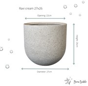 Pot Ravi creme