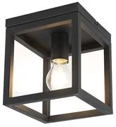 Industriële plafondlamp zwart staal - Cage Industriele / Industrie / Industrial, Design, Modern E27 vierkant Binnenverlichting Lamp
