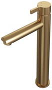 Brauer Gold - Edition Wastafelmengkraan opbouw - hoog - model E PVD - geborsteld goud 5-GG-002-HD1