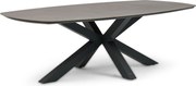 Dining Tuintafel rechthoekig 240 x 120 cm Grijs Voyage
