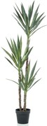 Emerald Kunstplant in pot yucca 150 cm