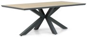 Dining Tuintafel rechthoekig 215 x 100 cm Grijs Palermo