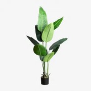 Kunst Bananenplant 160 Cm ↑160 Cm - Sklum