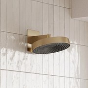 Saniclear Evolution hoofddouche 30cm met wandbevestiging geborsteld messing