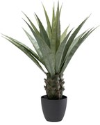 Kare Design Agave Kunstplant Agave