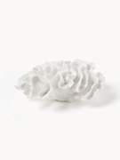 Design decoratief object Coral