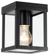 Buitenplafondlamp industriële Jersey Zwart