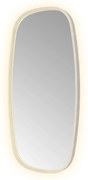 Hotbath &More Contour spiegel deens ovaal 50x100cm RVS