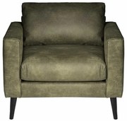 Fauteuil - Aster - lederlook Dalton groen 14