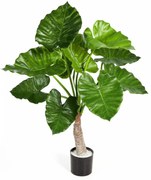 Alocasia Calidora Kunstplant - 80 cm