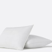 Premium modulair anti-huisstofmijtkussen