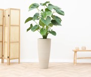 Kunstplant Alocasia Calidora - 125cm