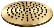 Brauer Gold Edition hoofddouche - Ø20cm - PVD - geborsteld goud 5-GG-016
