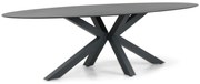 Dining Tuintafel ovaal 280 x 118 cm Grijs Santika Ellisse