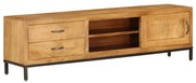 vidaXL Tv-meubel 140x30x40 cm massief mangohout