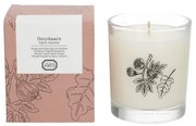 Geurkaars, vijg en rabarber, 210 gram