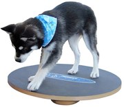 FitPAWS Balansbord 50 cm zwart