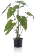Alocasia Zebrina Kunstplant - 75 cm