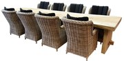 Boomstam Darwin naturel 400x90xH77,5 9-delig - bladdikte 10 cm geschoord