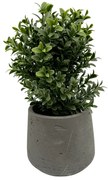 Buxus plant Kunstplant - 20 cm