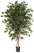 Ficus Exotica kunstplant - 180 cm