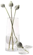 Vaas glas - vaas Donna Duo - vaas transparant