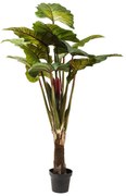 Kare Design Deco Plant Deco Boom Regenwoud