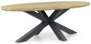 Dining Tuintafel ovaal 240 x 120 cm Old teak greywash Santika Diogo