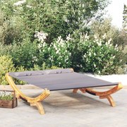 vidaXL Loungebed 165x188,5x46 cm massief gebogen hout antracietkleurig