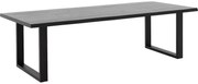 Goossens Eettafel Blade, Boomstamblad 260 x 100 cm 5 cm dik